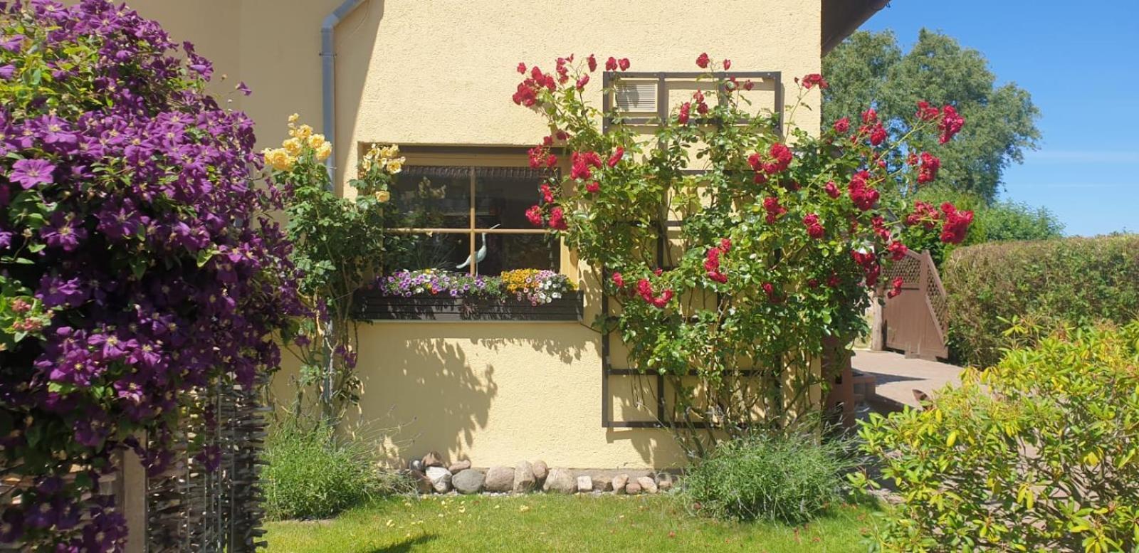 Ostseeferien In Lichtenhagen-Dorf Ferienwohnung Elmenhorst/Lichtenhagen Zewnętrze zdjęcie