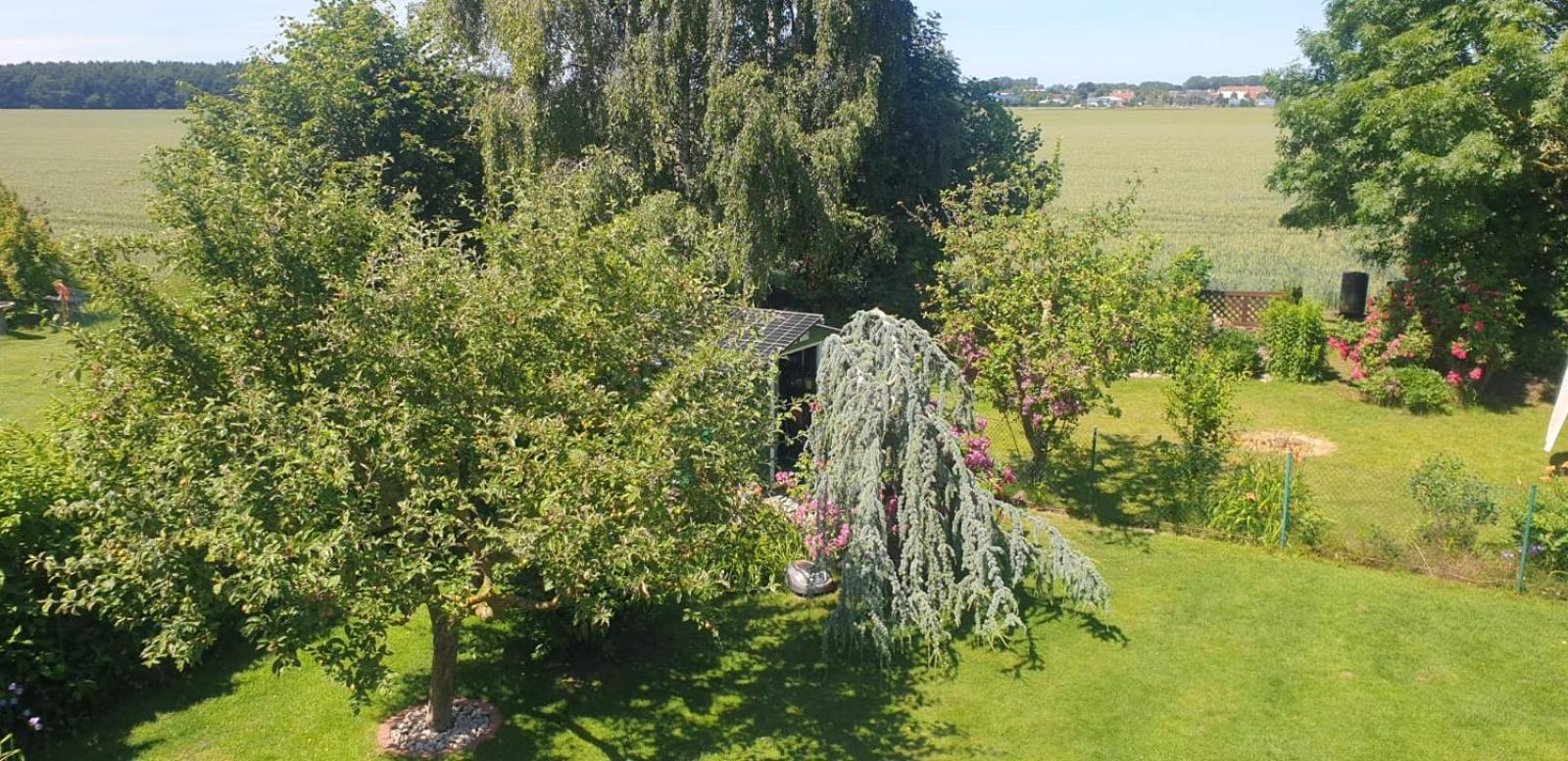 Ostseeferien In Lichtenhagen-Dorf Ferienwohnung Elmenhorst/Lichtenhagen Zewnętrze zdjęcie